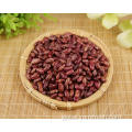 Kidney Beans For Weight Loss